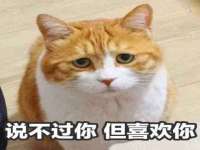 温州市鼓杰网络科技有限公司