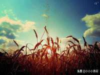 温州市鼓杰网络科技有限公司