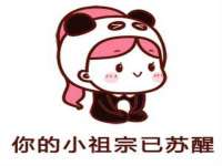 温州市鼓杰网络科技有限公司