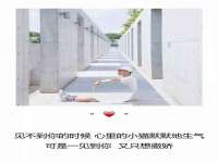温州市鼓杰网络科技有限公司