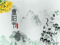 温州市鼓杰网络科技有限公司