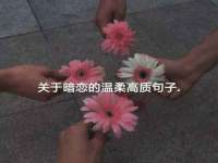 温州市鼓杰网络科技有限公司