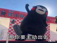 温州市鼓杰网络科技有限公司