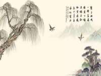 温州市鼓杰网络科技有限公司