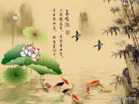 温州市鼓杰网络科技有限公司