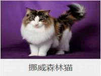 温州市鼓杰网络科技有限公司