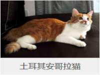 温州市鼓杰网络科技有限公司