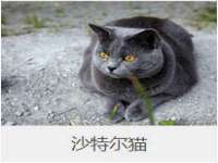 温州市鼓杰网络科技有限公司