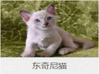 温州市鼓杰网络科技有限公司