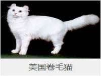 温州市鼓杰网络科技有限公司