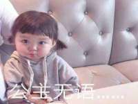 温州市鼓杰网络科技有限公司