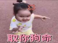 温州市鼓杰网络科技有限公司