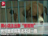 温州市鼓杰网络科技有限公司