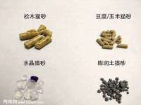 温州市鼓杰网络科技有限公司