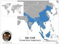温州市鼓杰网络科技有限公司