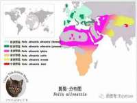 温州市鼓杰网络科技有限公司
