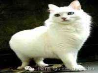 温州市鼓杰网络科技有限公司
