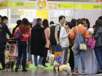 温州市鼓杰网络科技有限公司