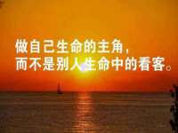 温州市鼓杰网络科技有限公司