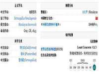 温州市鼓杰网络科技有限公司