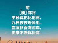 温州市鼓杰网络科技有限公司