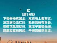 温州市鼓杰网络科技有限公司