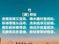 温州市鼓杰网络科技有限公司