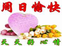 温州市鼓杰网络科技有限公司