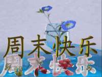温州市鼓杰网络科技有限公司