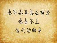 温州市鼓杰网络科技有限公司