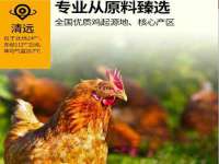 温州市鼓杰网络科技有限公司