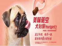 温州市鼓杰网络科技有限公司