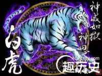 温州市鼓杰网络科技有限公司
