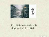 温州市鼓杰网络科技有限公司
