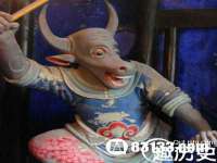温州市鼓杰网络科技有限公司