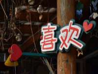 温州市鼓杰网络科技有限公司