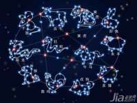 温州市鼓杰网络科技有限公司