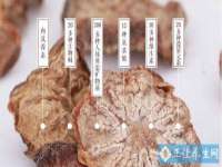 温州市鼓杰网络科技有限公司