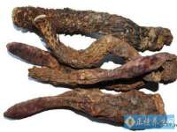 温州市鼓杰网络科技有限公司