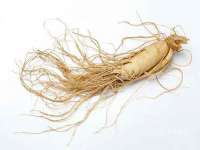 温州市鼓杰网络科技有限公司