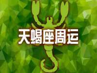 温州市鼓杰网络科技有限公司