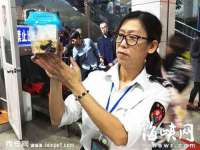 温州市鼓杰网络科技有限公司