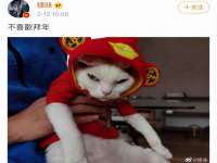 温州市鼓杰网络科技有限公司