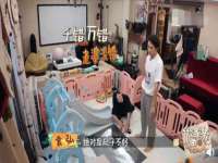 温州市鼓杰网络科技有限公司