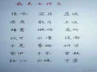 温州市鼓杰网络科技有限公司