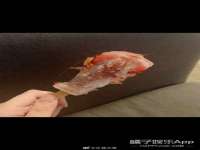 温州市鼓杰网络科技有限公司